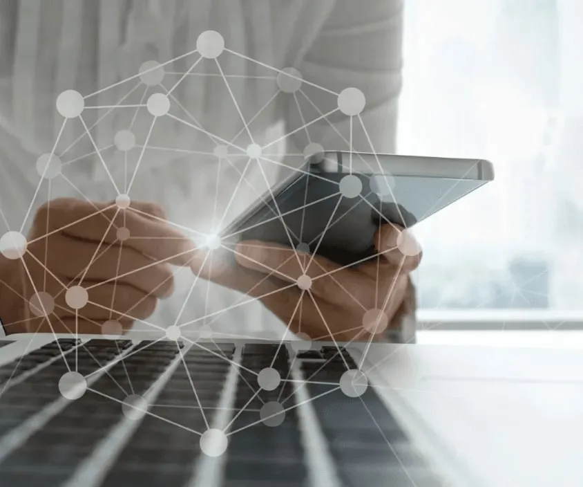 tally software services,tally services