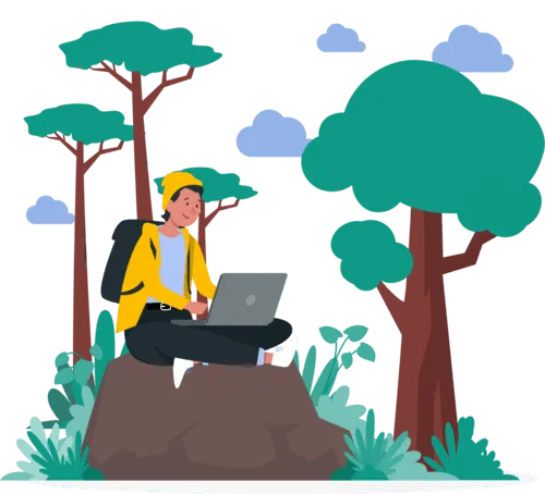 tally software services,tally services