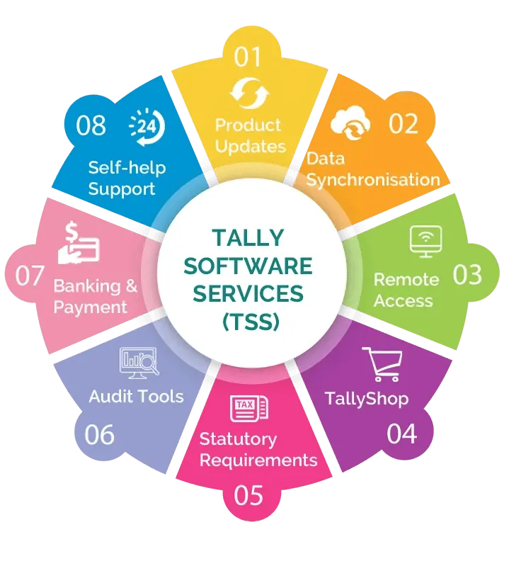 tally software services,tally services